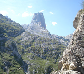 actividad guiada picos de europa